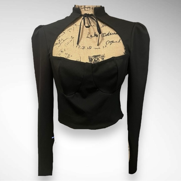 Nasty Gal Tops - NASTY GAL‎ Cup All Night Cropped Tie Blouse Black Size 8 | NWOT